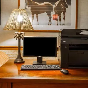 Hotel Equus Honolulu